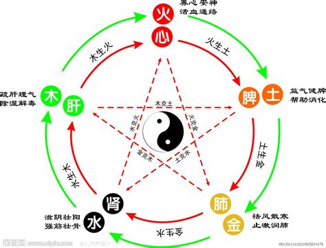 冰箱五行属什么|冰箱五行屬什麼？